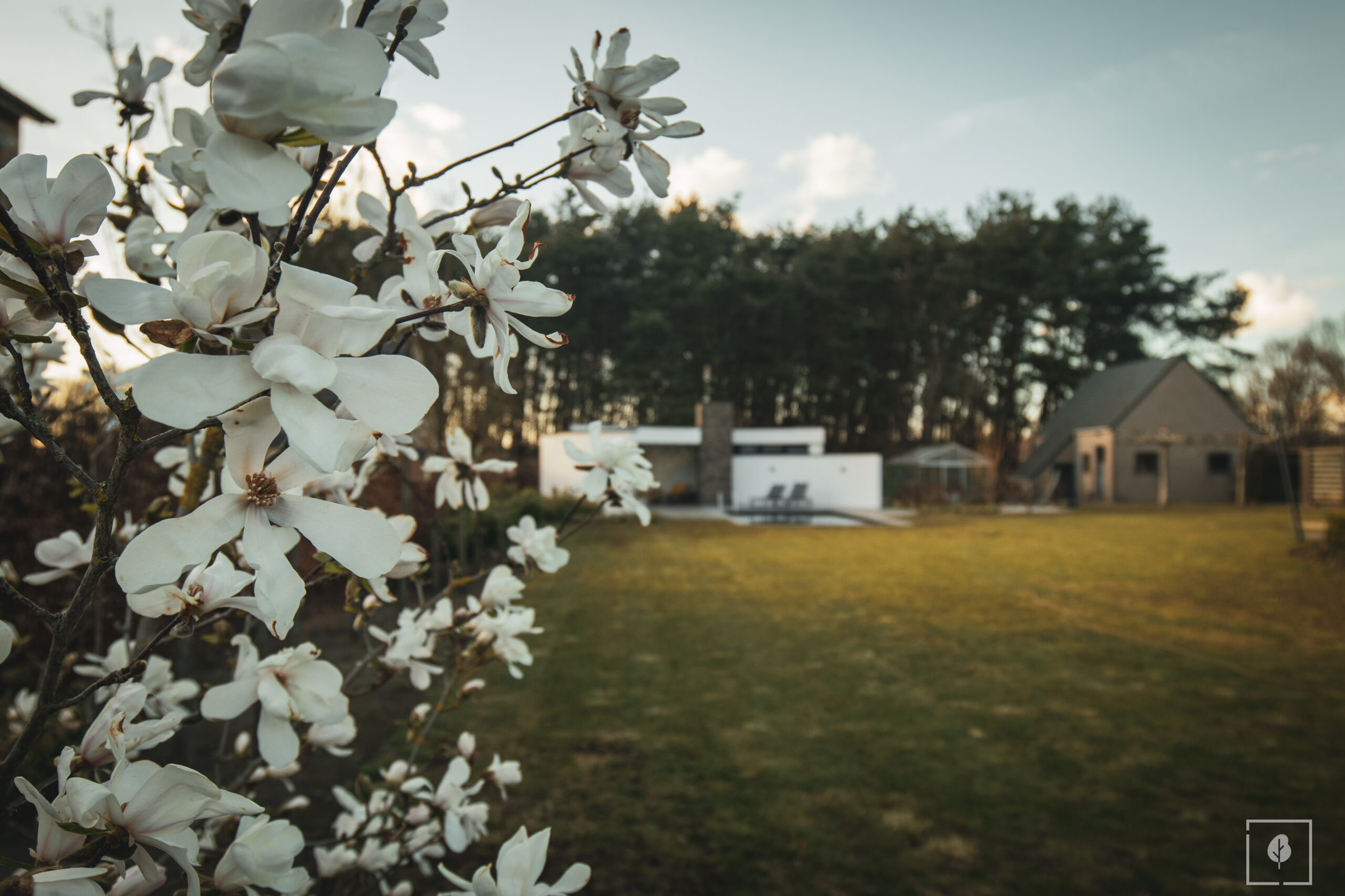 Project Gemeentepark Vorselaar Joren Lathouwers