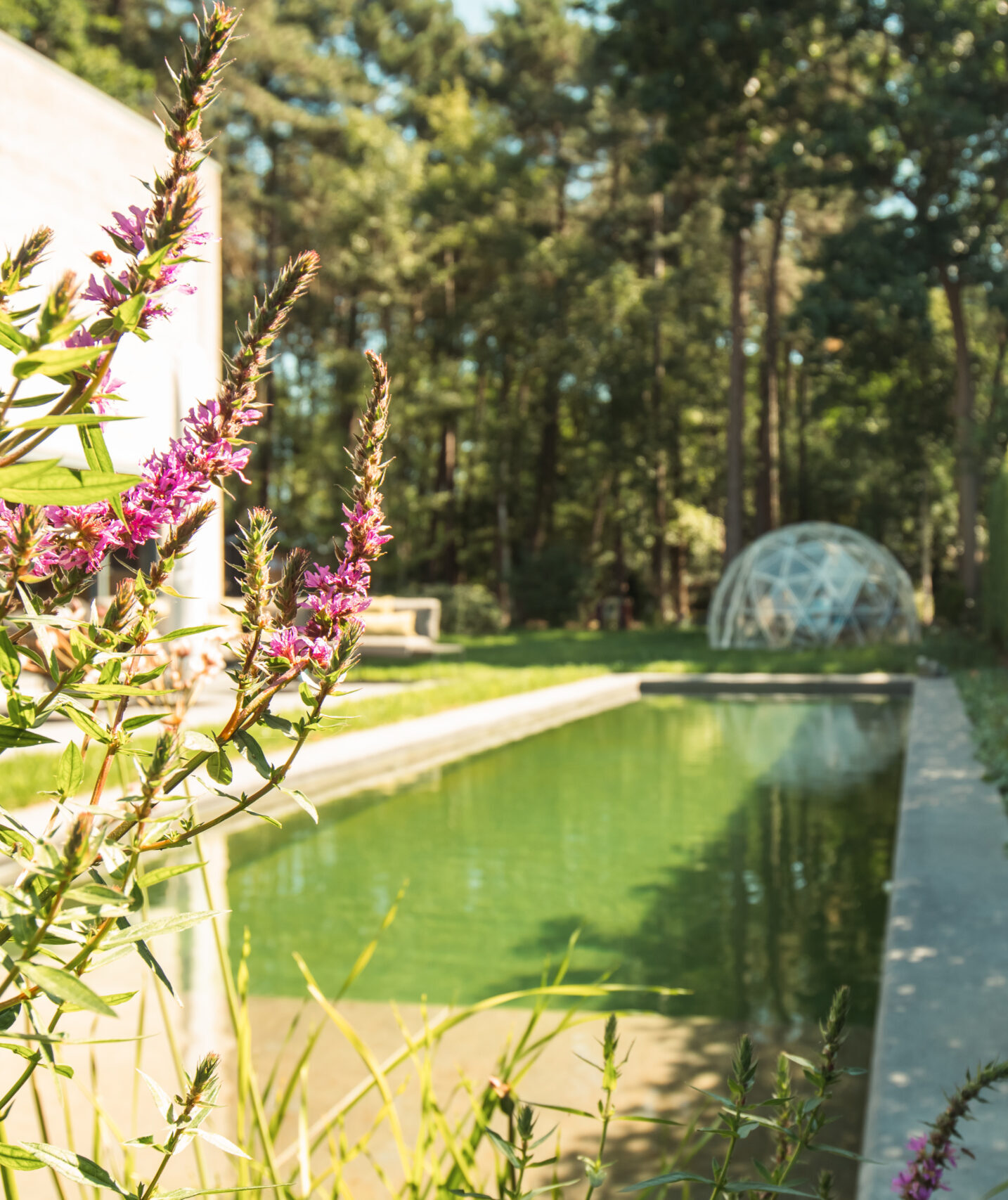 project Joren Lathouwers