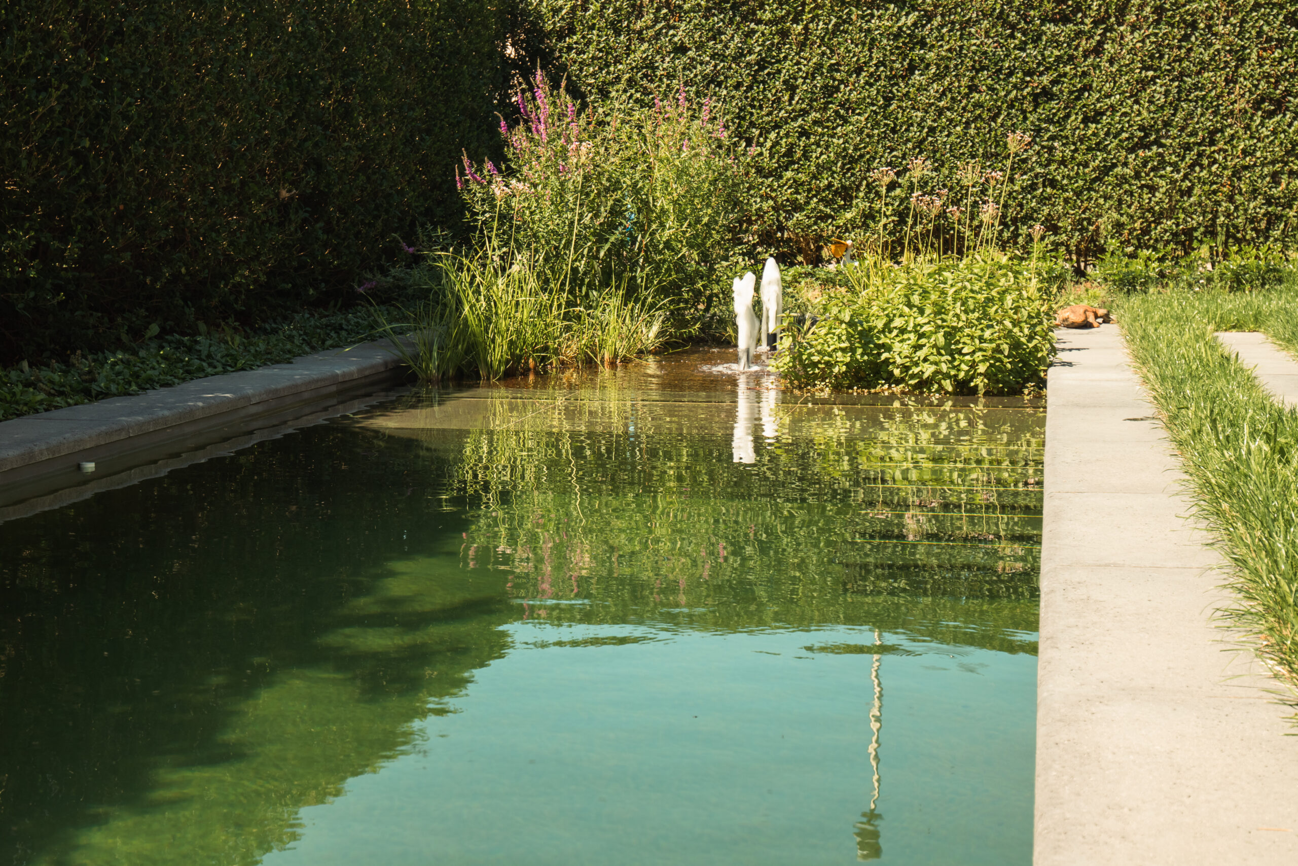 Project Greeve - Somers Joren Lathouwers