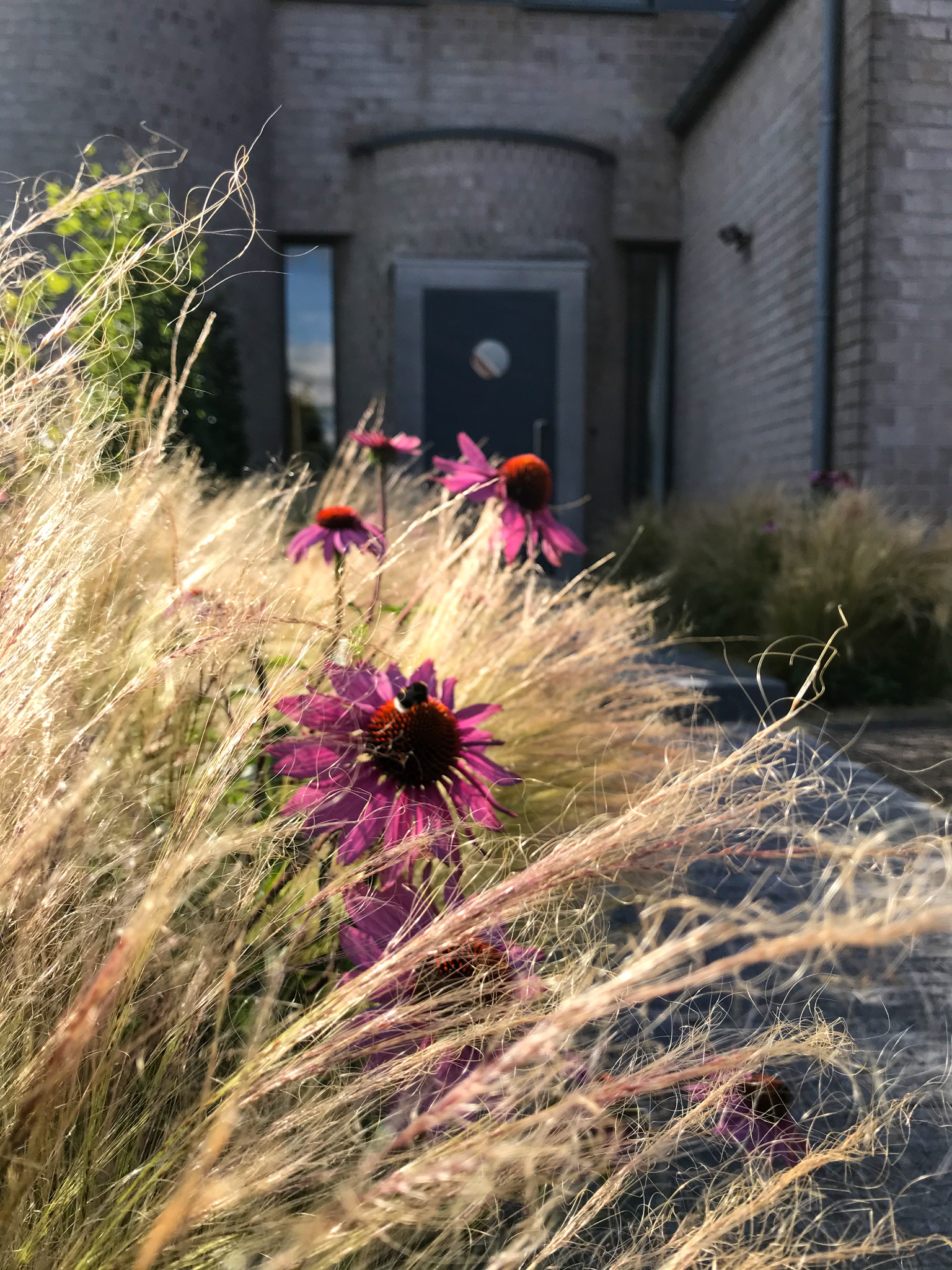 project Joren Lathouwers